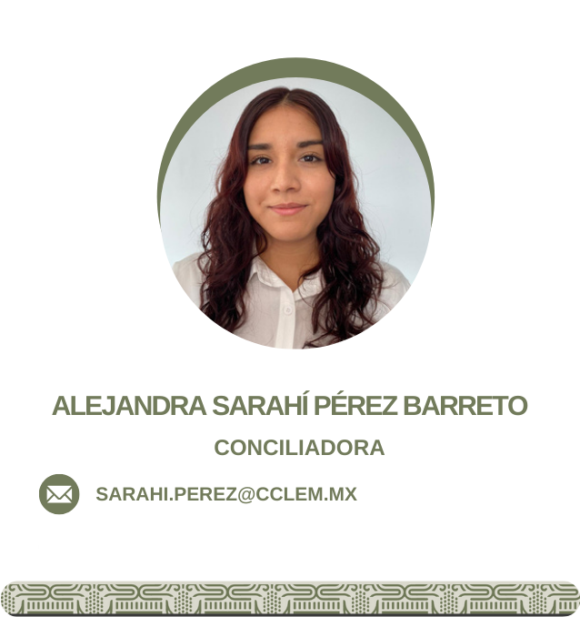 Conciliador 15